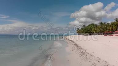 空中电影无人机拍摄的白色空沙滩与纸浆树